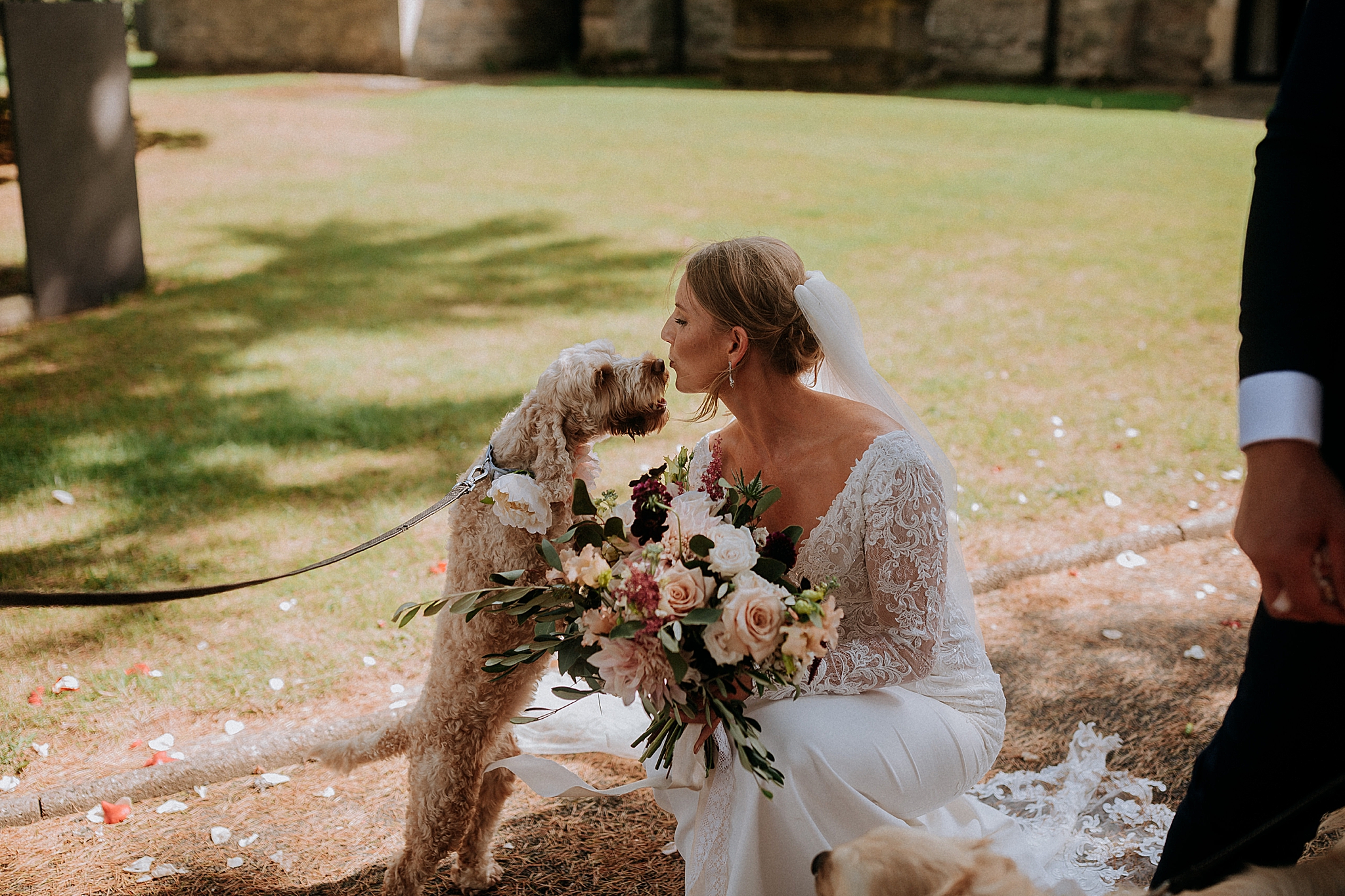 Creative Wedding Photography - Wedding Dog